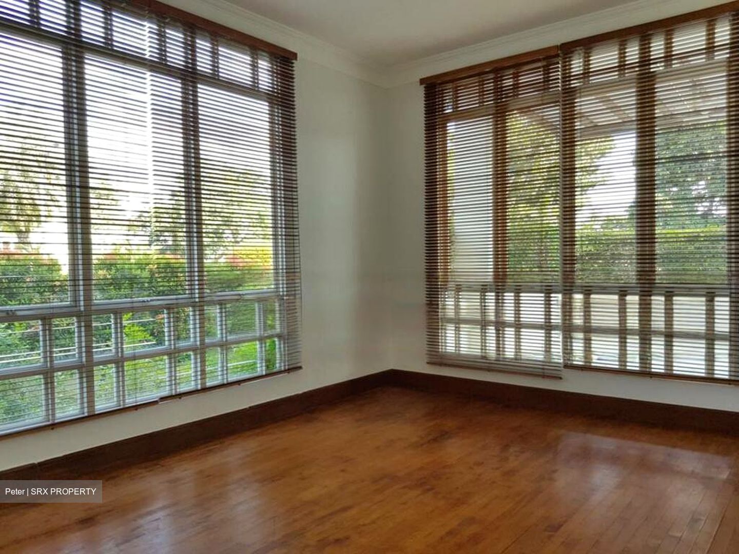 Bin Tong Park (D10), Detached #468538191